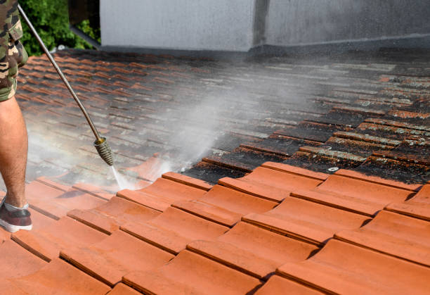Best Roof Pressure Washing  in Luck, WI