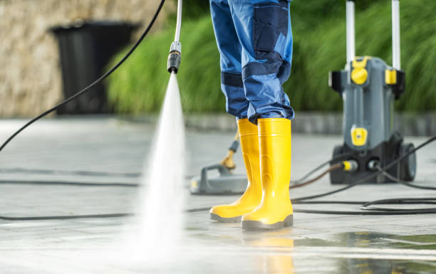 Best Exterior Home Cleaning  in Luck, WI