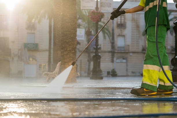 Best Roof Pressure Washing  in Luck, WI